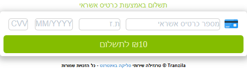 שדות מתארחים - Hosted Fields